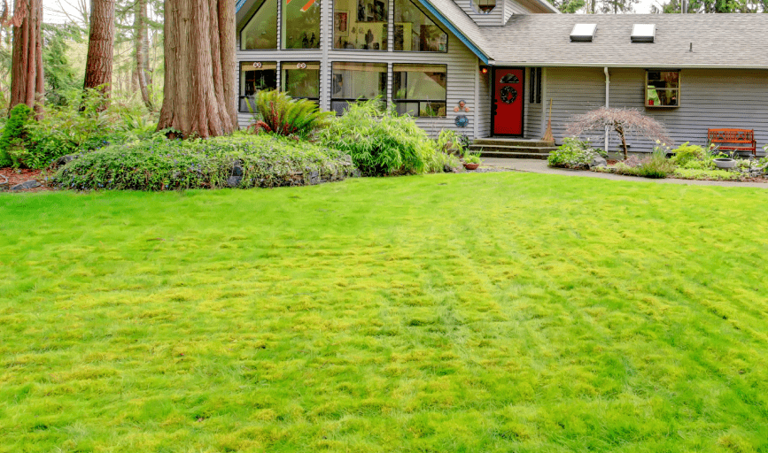 Magnolia Company Lawn & Landscape Services